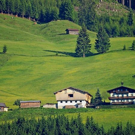 Ferienhaus Hochwimmer Hollersbach im Pinzgau Εξωτερικό φωτογραφία