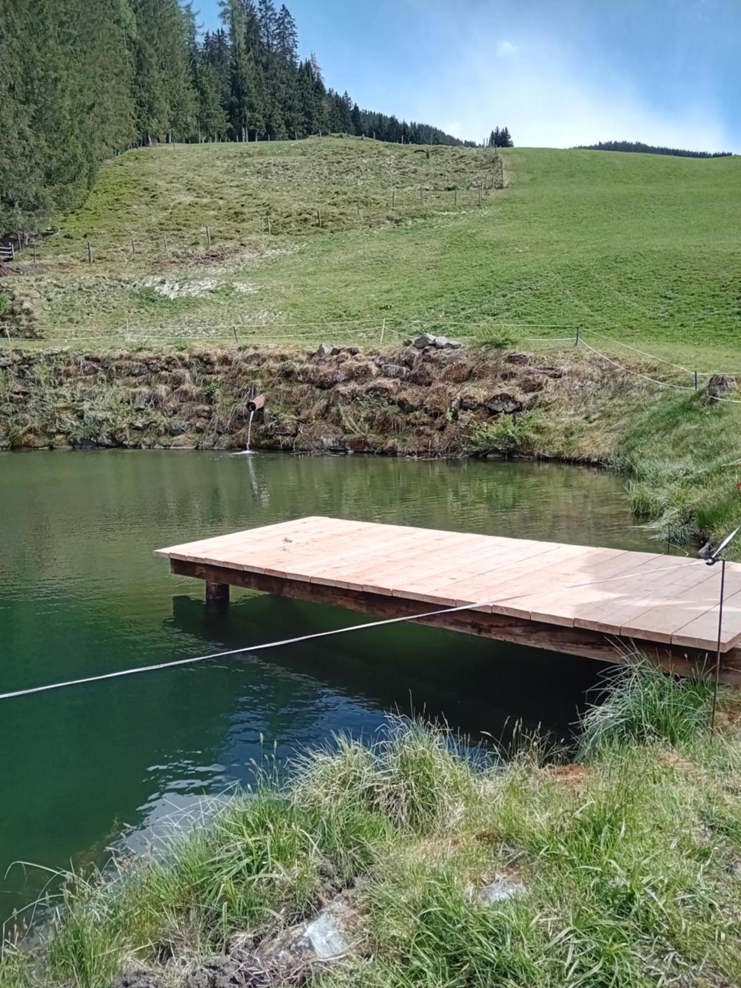 Ferienhaus Hochwimmer Hollersbach im Pinzgau Εξωτερικό φωτογραφία