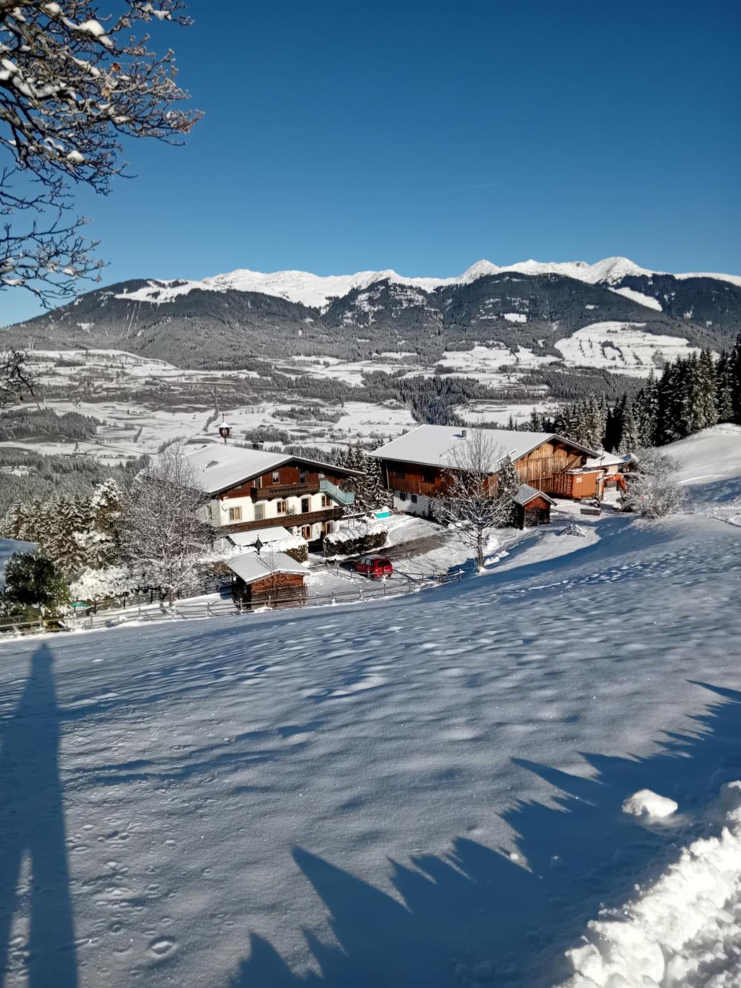 Ferienhaus Hochwimmer Hollersbach im Pinzgau Εξωτερικό φωτογραφία