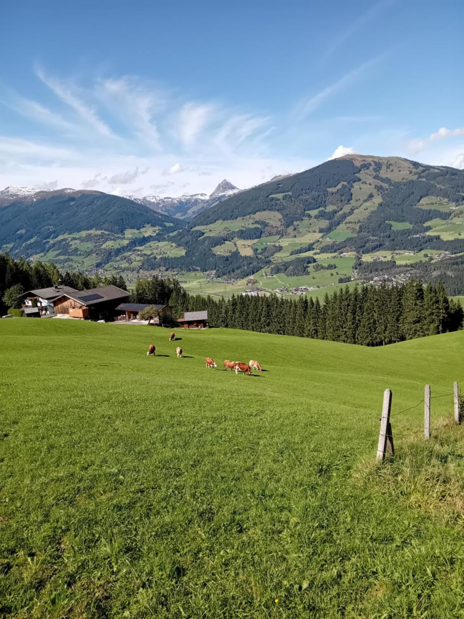 Ferienhaus Hochwimmer Hollersbach im Pinzgau Εξωτερικό φωτογραφία