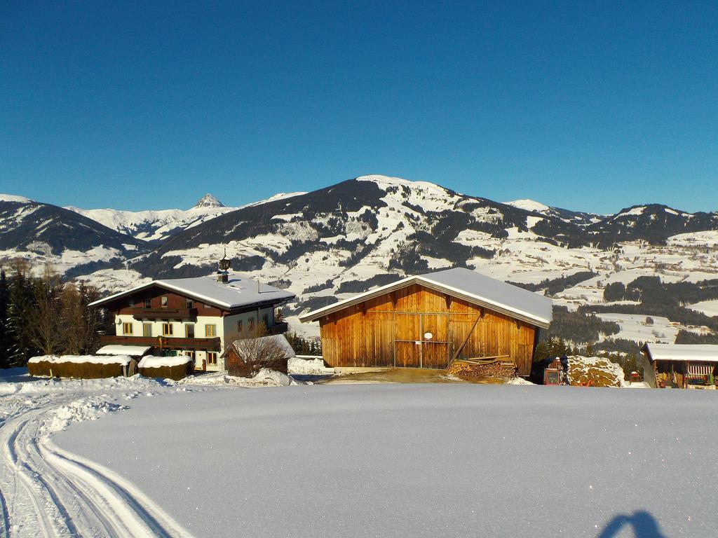 Ferienhaus Hochwimmer Hollersbach im Pinzgau Εξωτερικό φωτογραφία