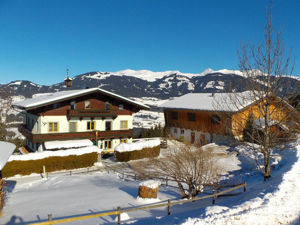 Ferienhaus Hochwimmer Hollersbach im Pinzgau Εξωτερικό φωτογραφία