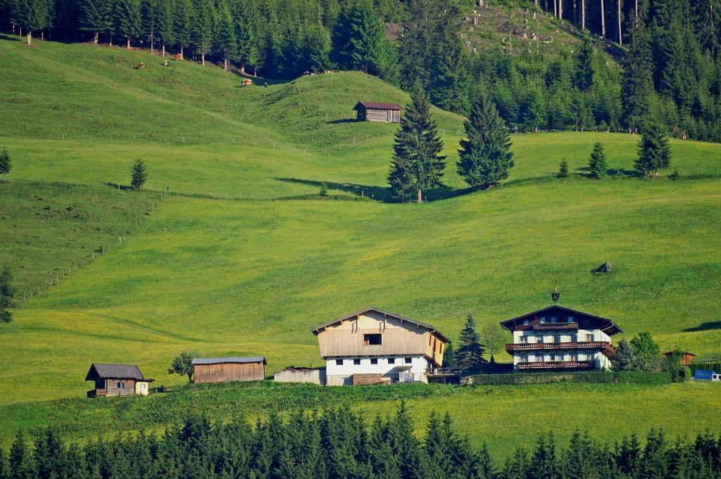 Ferienhaus Hochwimmer Hollersbach im Pinzgau Εξωτερικό φωτογραφία